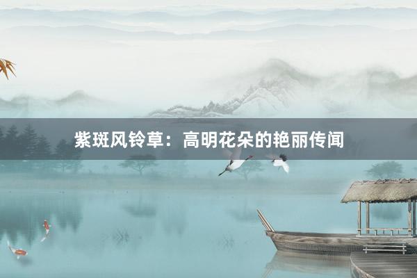 紫斑风铃草：高明花朵的艳丽传闻